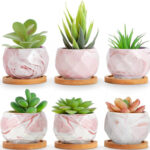 Ilohaus Pink Succulent Pots Set Of , Plant Pots Indoor, Succulent  Planters, Small Plant Pots, Cactus Pot, Cute Plant Pots, Small Flower Pots,  Small